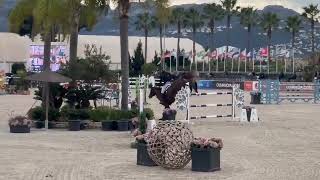 King cjs place 7 ranking csi 3  oliva Nova 🇪🇸🇪🇸🇪🇸 [upl. by Scribner133]