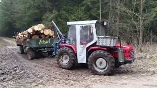 Carraro 5500 im Wald 2 [upl. by Aisetal190]