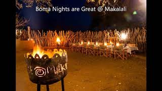 Makalali Private Game Reserve 2020 Special [upl. by Nivat]