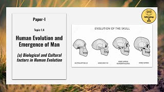 PaperI Topic14a Biological and Cultural factors in Human Evolution Part I [upl. by Keverne602]