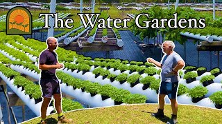 Managing a Hydroponic Herb Farm The Water Gardens Tour [upl. by Naoj]