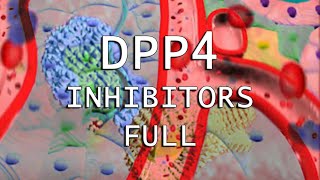 DPP4 Inhibitors [upl. by Lerud728]