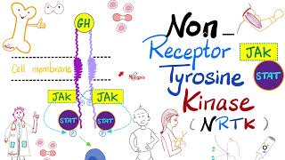 JAKSTAT Pathway — Nonreceptor Tyrosine Kinase NRTK  Cell Signaling  Endocrinology Playlist [upl. by Joris916]