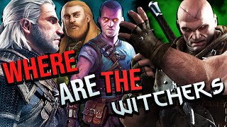 The Witchers Where Are They All  The Witcher 3 Explained [upl. by Laith414]