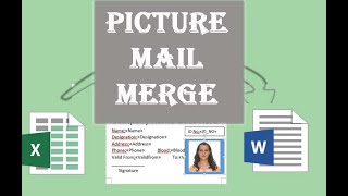 How to Mail Merge Excel data and images in Microsoft Word Picture Mail Merge [upl. by Dode901]