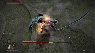 How Precise￼ the hitboxes are in Elden Ring [upl. by Kathlin]