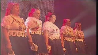 Janicsák István amp VA K  Honky Tonk Woman  2008 PeCsa Official videó [upl. by Imeon]