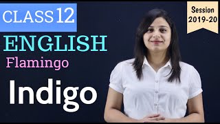 Indigo Class 12 in Hindi  Class 12 Indigo Explanation  Class 12  Flamingo  Chapter 5  Part 1 [upl. by Merill504]