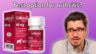 Is Galliprant the Best Option for Arthritis in DOGS [upl. by Aerona647]