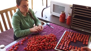 How to Dehydrate Cherry Tomatoes [upl. by Brahear]