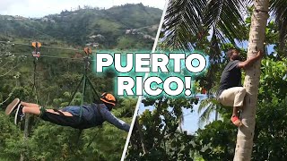 7 Unbelievable Things To Do In Puerto Rico [upl. by Ahsennod398]