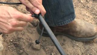 Drip Irrigation Tip  Emitter Placement [upl. by Hillinck]