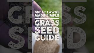 Grass Seed Guide [upl. by Alf]