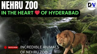 Hyderabad zoo [upl. by Benjy]