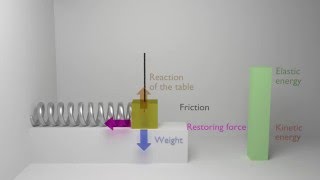 Animation of a damped harmonic oscillator physics mechanics [upl. by Anibla278]