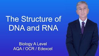 A Level Biology Revision quotThe Structure of DNA and RNAquot [upl. by Yanttirb]