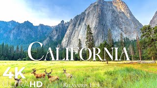 CALIFORNIA  Beautiful Places of California  4k Video HD Ultra [upl. by Nithsa]