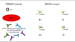 O Negative Blood Type Donating and Receiving [upl. by Hendry271]