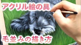 【アクリル画】Dog Painting 毛の描き方、筆の使い方 [upl. by Dierolf]