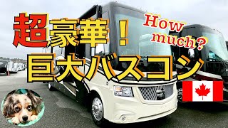 【キャンピングカー紹介】バスコン、大型バスタイプのキャンピングカー、超豪華内装（運転席、シャワールーム、トイレ、リビング＆ダイニング）と外装を紹介。 [upl. by Asek]