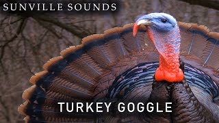 Turkey Gobble  Animal Sounds with Peter Baeten [upl. by Kleeman]