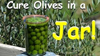 How to Cure Olives in a Jar  Homegrown DIY [upl. by Ocinemod]