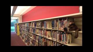 Childrens Library Tour [upl. by Quenby]