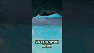 🚫 El Gran PELIGRO de los CENOTES PROFUNDOS de México Cueva Subterránea [upl. by Myron]