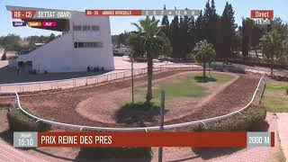 Live Hippodrome « SETTAT »  Courses du « 05102024 » [upl. by Eentihw598]