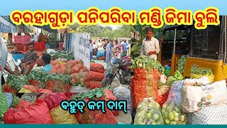 Barhagoda Big Vegetable wholesale MarketBargarh [upl. by Anerev]