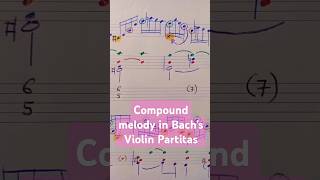 Implied polyphony in Bach analysis bach musictheory violin partita shorts harmony jsb [upl. by Nyllek]