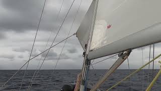 Heaveto gyakorlat Adria 2024 szept  Ocean Sailing SE oceansailingmederhu [upl. by Harbour868]