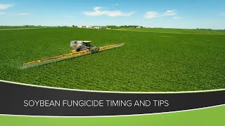 Soybean Fungicide Timing and Tips From Ag PhD 1158  Air Date 61420 [upl. by Ayatnohs]