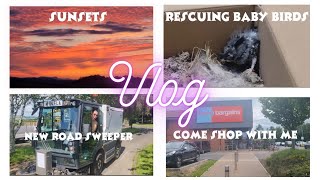 GARDEN VLOG 🌷 HOME BARGAINS COME SHOP WITH ME 🛒SUNSETS 🌇 BABY BIRDS 🐥 AND MORE [upl. by Nnyltiak]