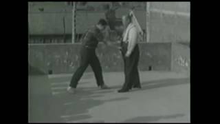 Wang Shu Jin Xingyiquan Baguazhang Taijiquan [upl. by Enois867]