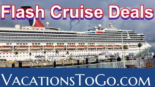 Cruise Deals  Vacations To Go  How we find cheap cruises [upl. by Anilosi188]