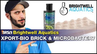 Short on biological filtration for your reef tank Not anymore Brightwell XportBIO w Microbacter7 [upl. by Aneem421]