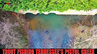 Trout Fishing East Tennessees Pistol Creek [upl. by Akyeluz949]