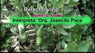 Derecho viejo Orq Josecito Pace [upl. by Marilyn539]