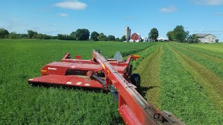 Cutting Third Crop [upl. by Ranger]