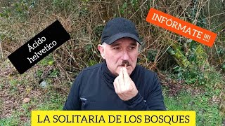 CONOCES LA SOLITARIA DEL BOSQUE [upl. by Deacon]