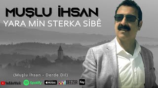 Muşlu İhsan  Yara Min Stêrka Sibê [upl. by Xino]