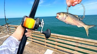 I Caught a GIANT at the End of the PIER Catch and Cook [upl. by Zimmerman]