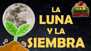 NO SIEMBRES SIN SABER ESTO 🌙 La Luna y la Agricultura Consejos de Siembra para Huerto y Jardín 🌱 [upl. by Llerej318]