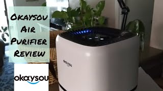 Okaysou Air Purifier Review [upl. by Navar]