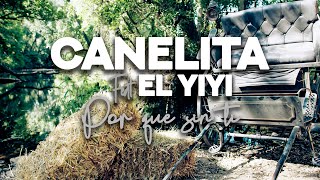 CANELITA  PORQUE SIN TI FT ¨EL YIYI¨ VIDEOCLIP OFICIAL [upl. by Irby348]