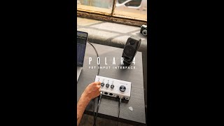 The POLAR 4 USB Audio Interface  Out Now [upl. by Einnim]