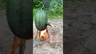 Survival Skills SIMPLE and USEFUL with steam bad water in watermelon bushcraft camping outdoors [upl. by Anelegna]