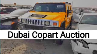 Copart Auction in dubai  Emirates Action  Dubai Car business  dream car in dubai [upl. by Anibla]