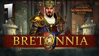 THE LION RISES Total War Warhammer  Bretonnia Campaign 1 [upl. by Francine537]